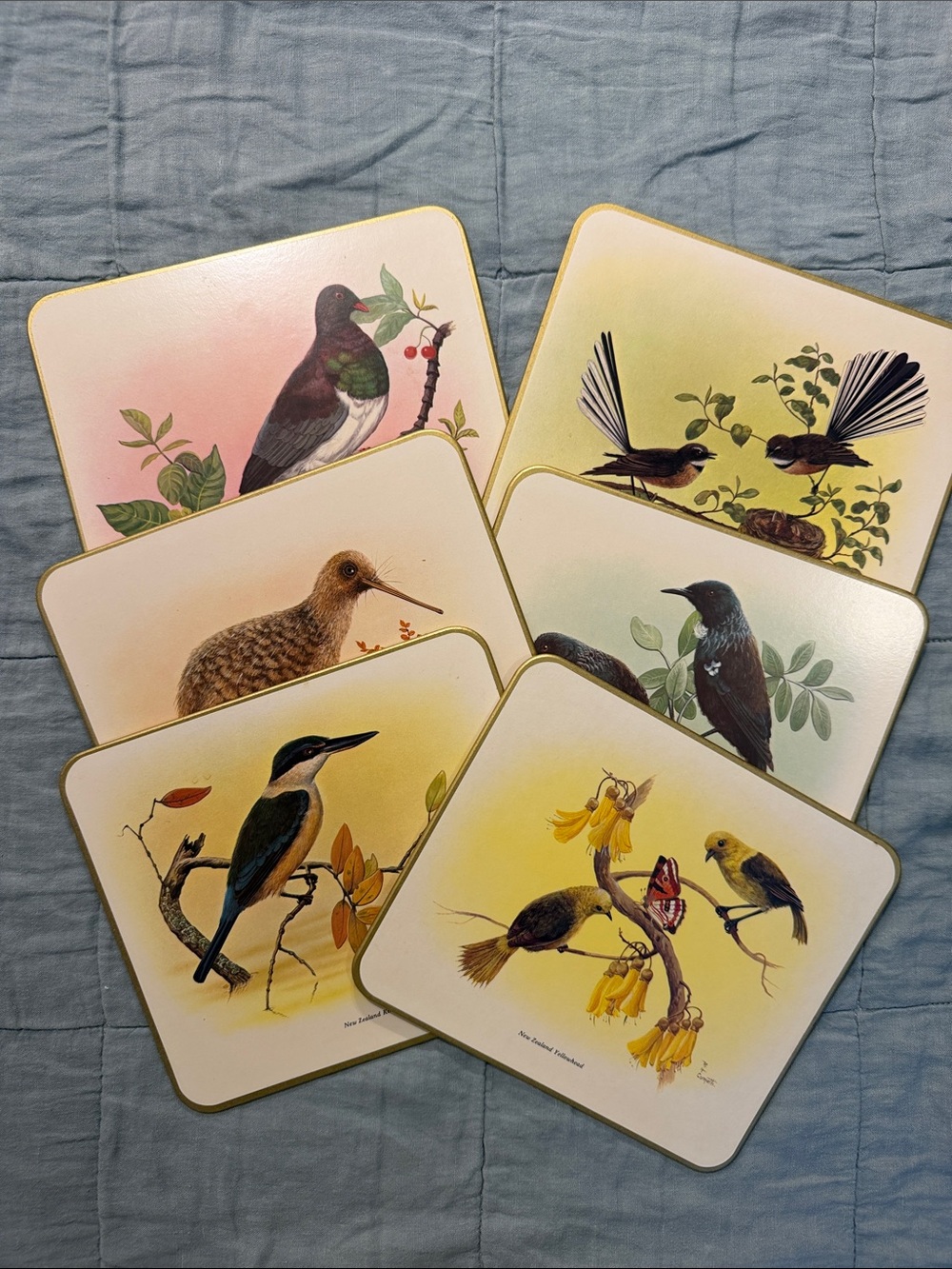 Bird Illustration Coasters or luncheon mats by JASON